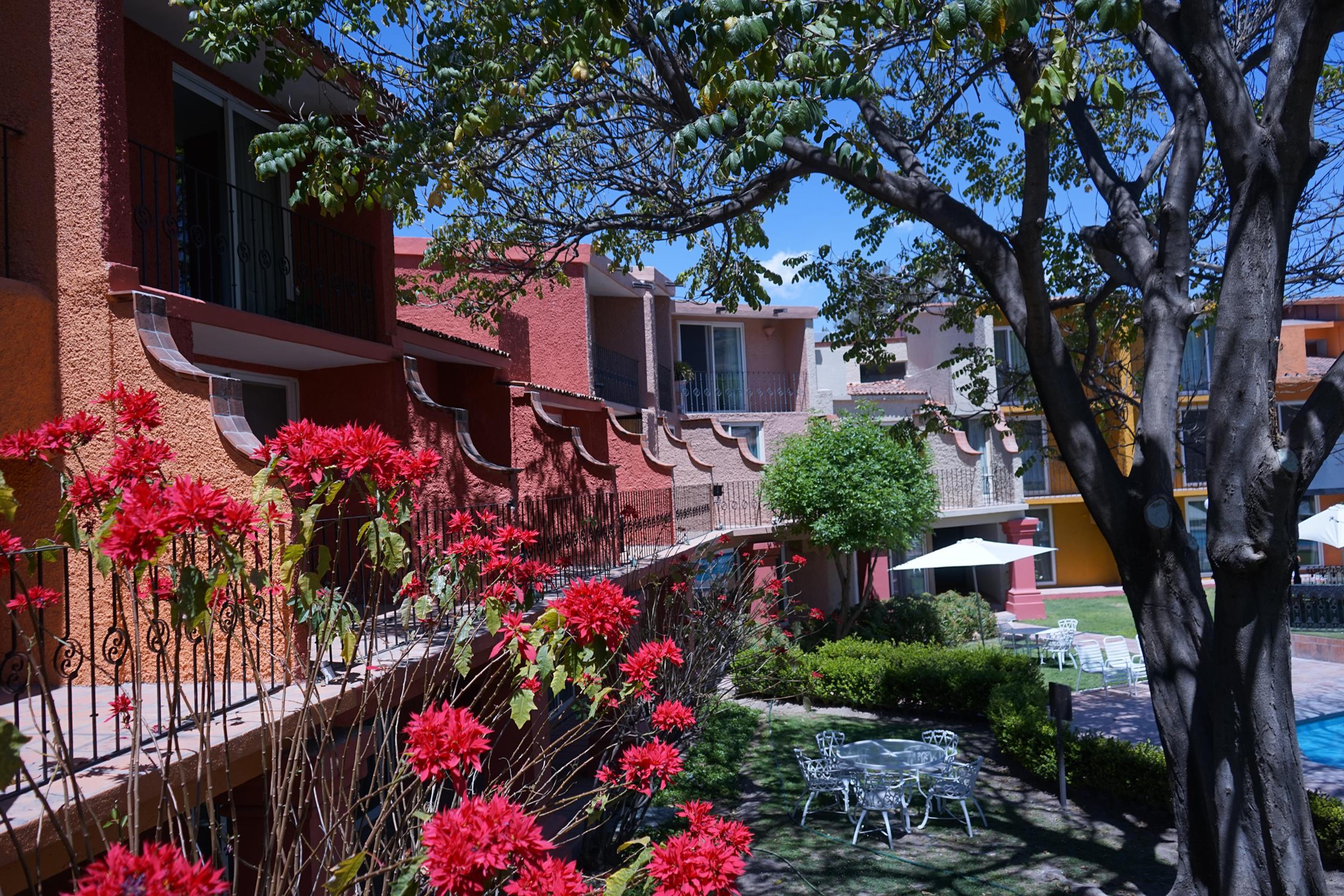 Real De Minas San Miguel De Allende Eksteriør billede A view of the community