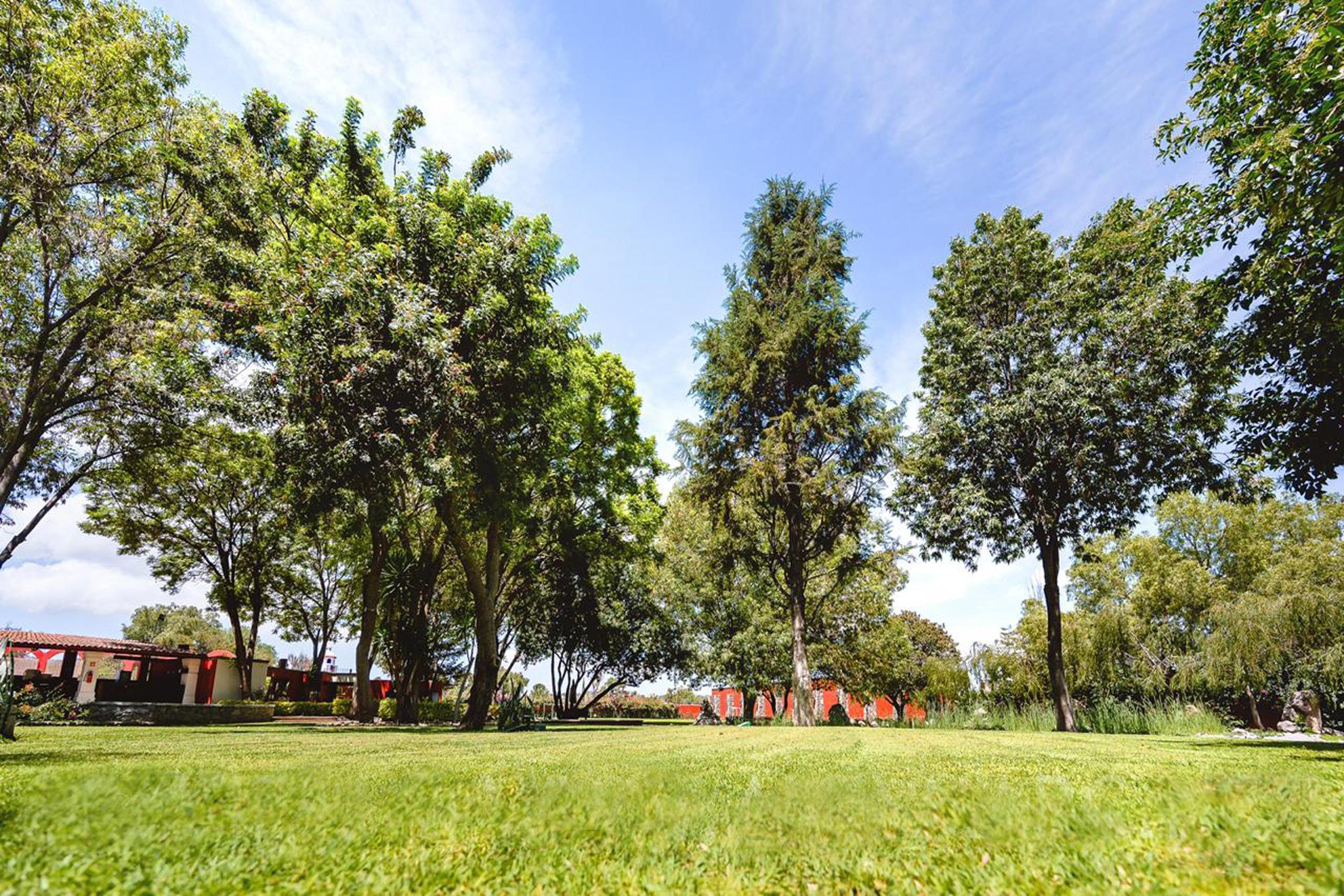 Real De Minas San Miguel De Allende Eksteriør billede The park