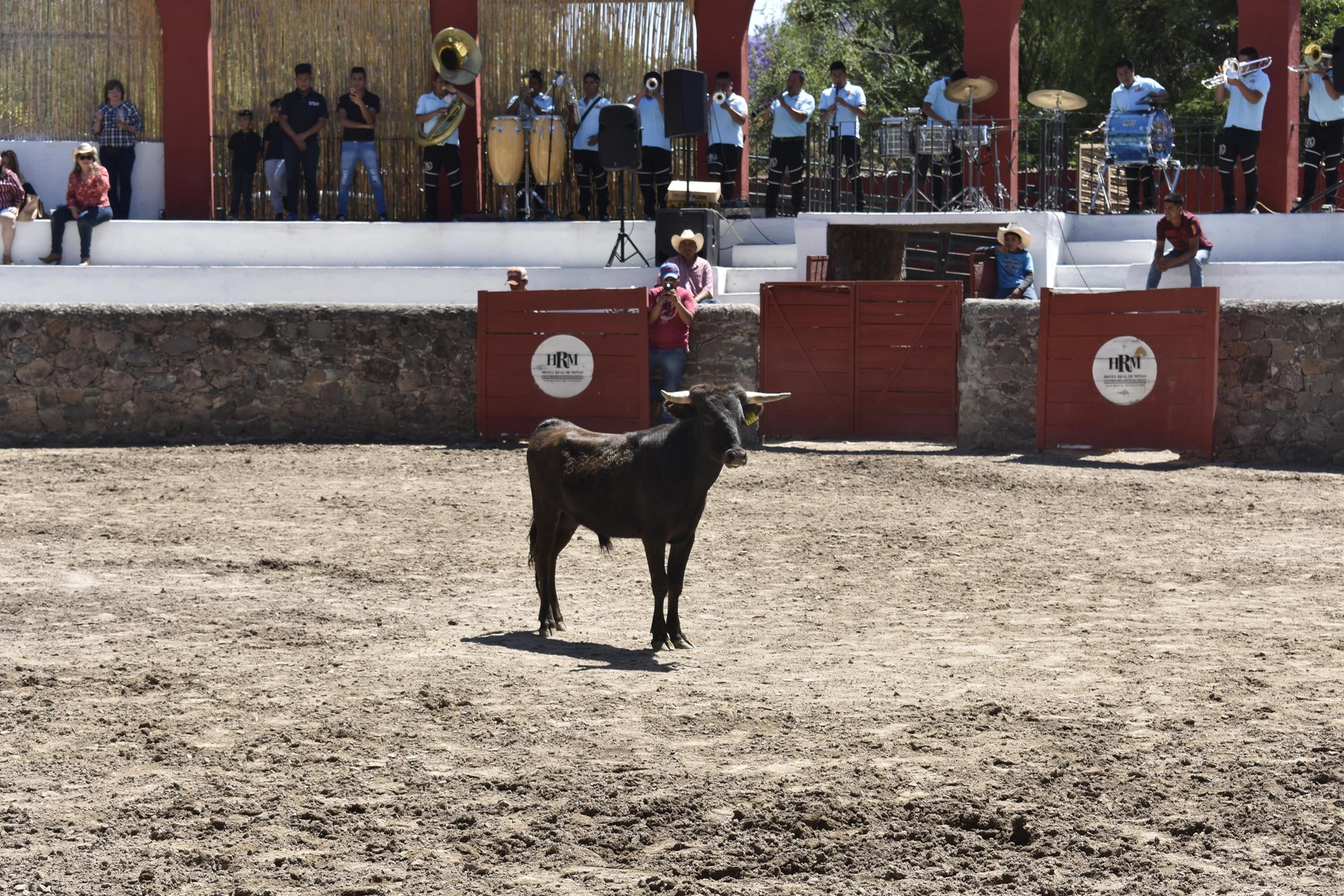 Real De Minas San Miguel De Allende Eksteriør billede A bull in the bullring