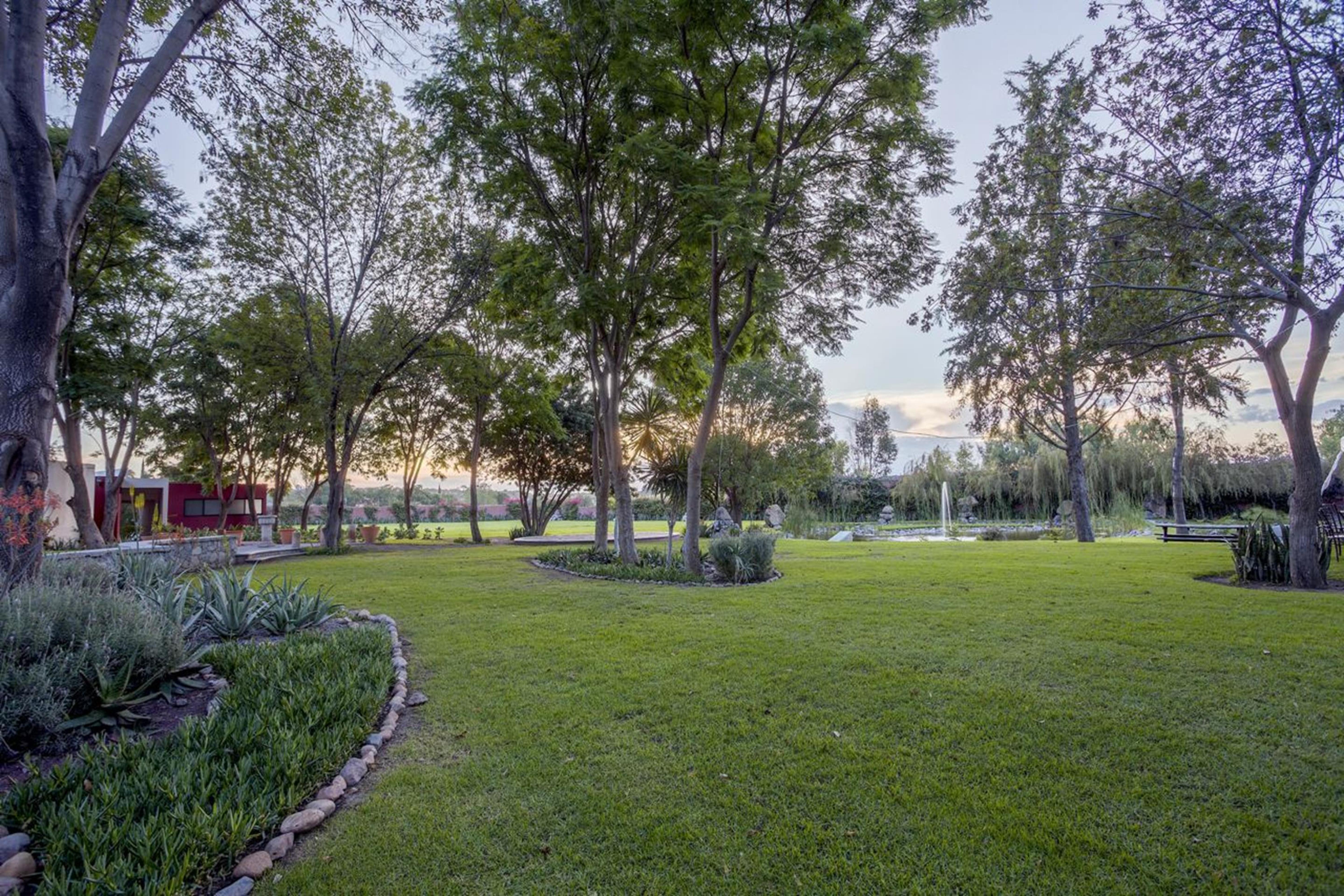 Real De Minas San Miguel De Allende Eksteriør billede The park